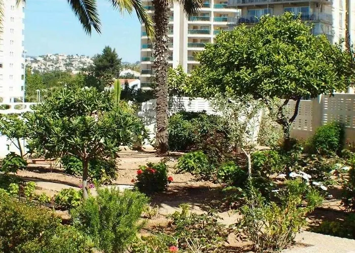 Inftour President 1 *